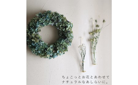 ドライフラワーリース 花七曜 大きなあじさい ドライフラワーリース