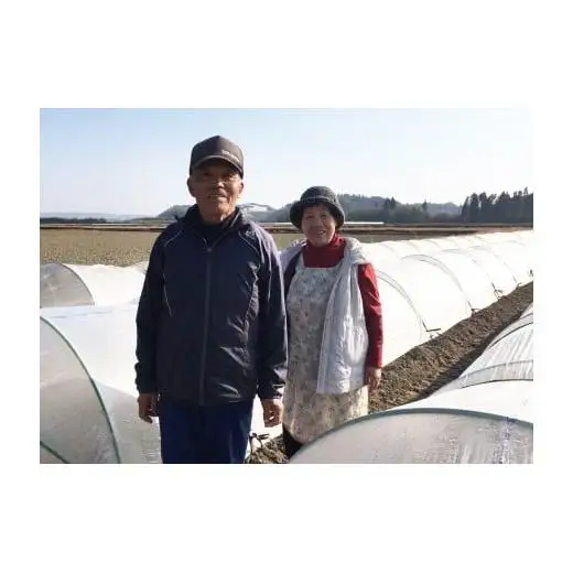 【先行予約】2027年発送鮮度が命！生産者直送 緒方さんちの朝どれスイートコーン『イエロー』7kg＜23-2b＞野菜 やさい とうもろこし
