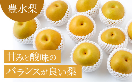 【先行予約】種あり 巨峰 3房 梨 2玉から3玉 セット 2026年8月下旬から9月上旬 出荷予定【春光園】 有機配合肥料使用 ぶどう ブドウ 葡萄 巨峰 梨 なし 果物 フルーツ 詰め合わせ