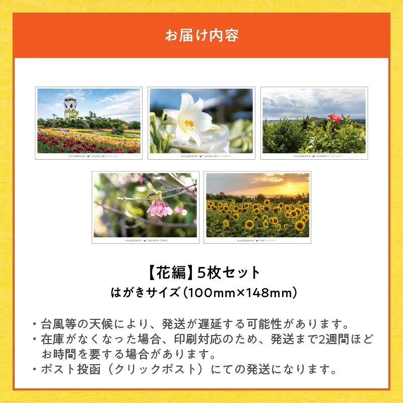 花と癒しの島！沖永良部島オリジナルポストカード（花編） W060-002u 雑貨 日用品