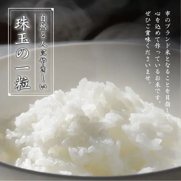 米 令和7年産 コシヒカリ 精米2kg（伝統）×2袋【株式会社Y&Tカンパニー】