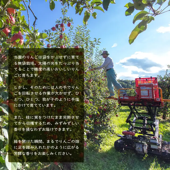 羽山りんごジュース 無添加 1000ml 6本セット【斎藤りんご園】
