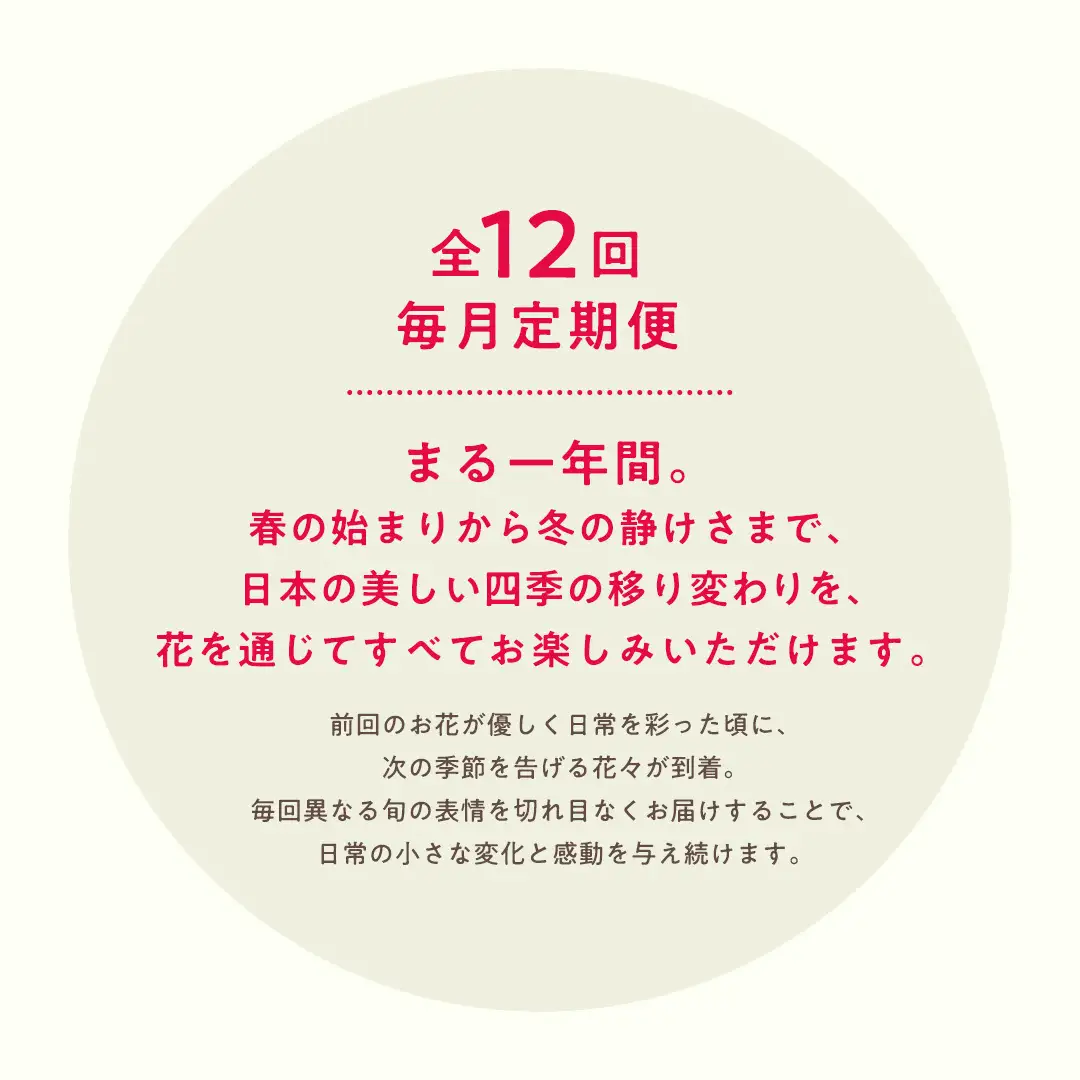 【お花の 定期便 】「毎月」届く、季節の フラワー アレンジメント ( 合計 12回 ) 花 生花 お祝い 結婚祝い 誕生日 プレゼント ギフト フラワーギフト [CY005sa]