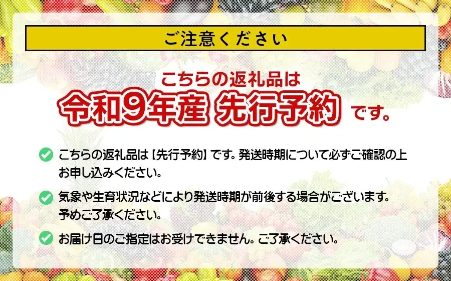 【令和9年産】 アンデスメロン 約5kg(3～5玉) 山形県鶴岡産 庄内砂丘メロン 白砂ファーム