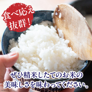 生駒高山育ちの　ヒノヒカリ米20kg（5kg×4）(生産者　上武猛)　令和7年産　生駒高山育ち 生産者 上武猛 おいしい お米 米 健康 栄養 ご飯 おにぎり 人気 おすすめ お取り寄せ おすそ分け ライス 備蓄米 送料無料