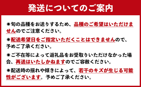【予約受付中・2026年8月上旬頃より順次発送】川添果樹園の特選梨 約3kg フルーツ 果物 梨 ナシ 完熟梨 季節の梨 くだもの 　特選