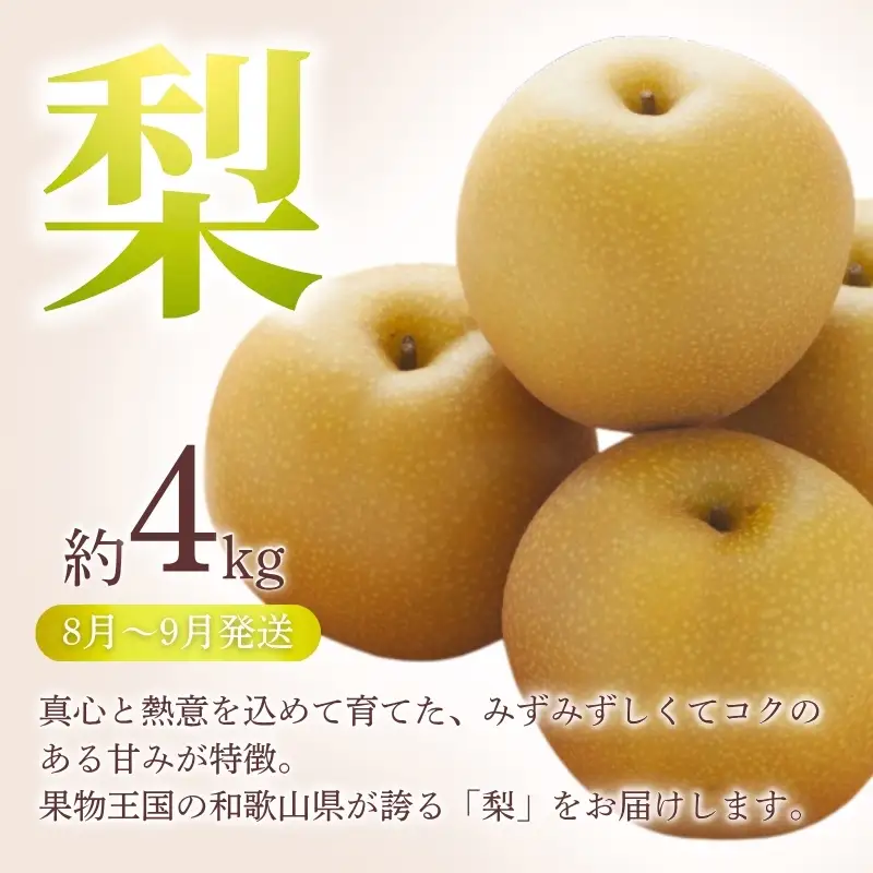 【全3回定期便】和歌山の旬のフルーツ定期便！人気の桃・ピオーネ・梨をお届け♪ 【tkb306】