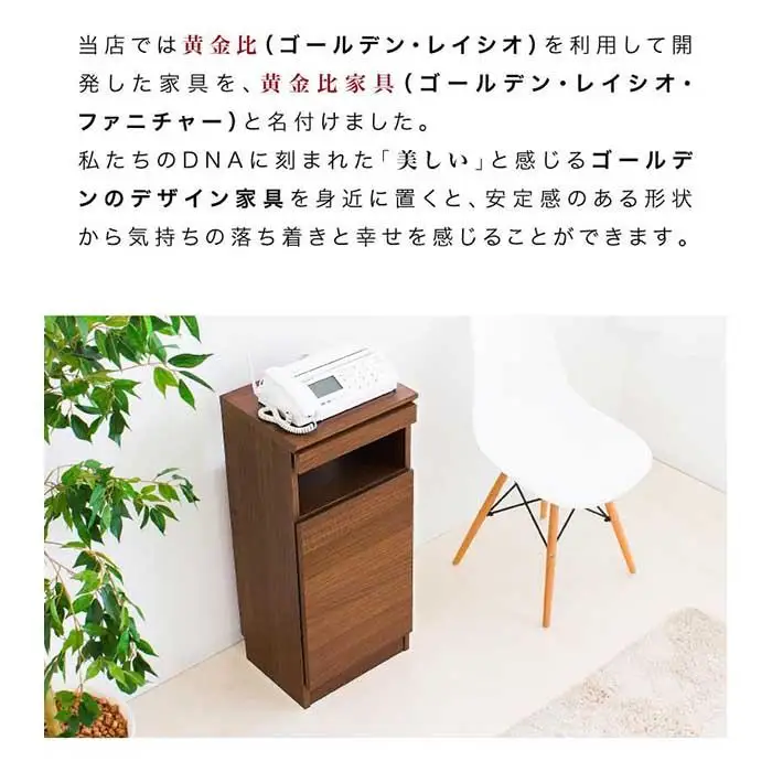【完成品】ゴールデンFAX台 扉1枚タイプ 鏡面ホワイト AKU101747702