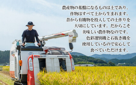 【令和8年産】 ミルキークイーン 精米 5kg (5kg×1袋) 山形県庄内産 小池半左衛門