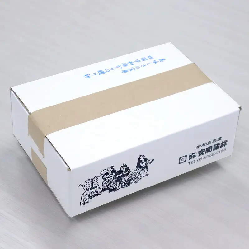 天ぷら 宇和島 じゃこ天 15枚 安岡蒲鉾店 天ぷら C014-020004