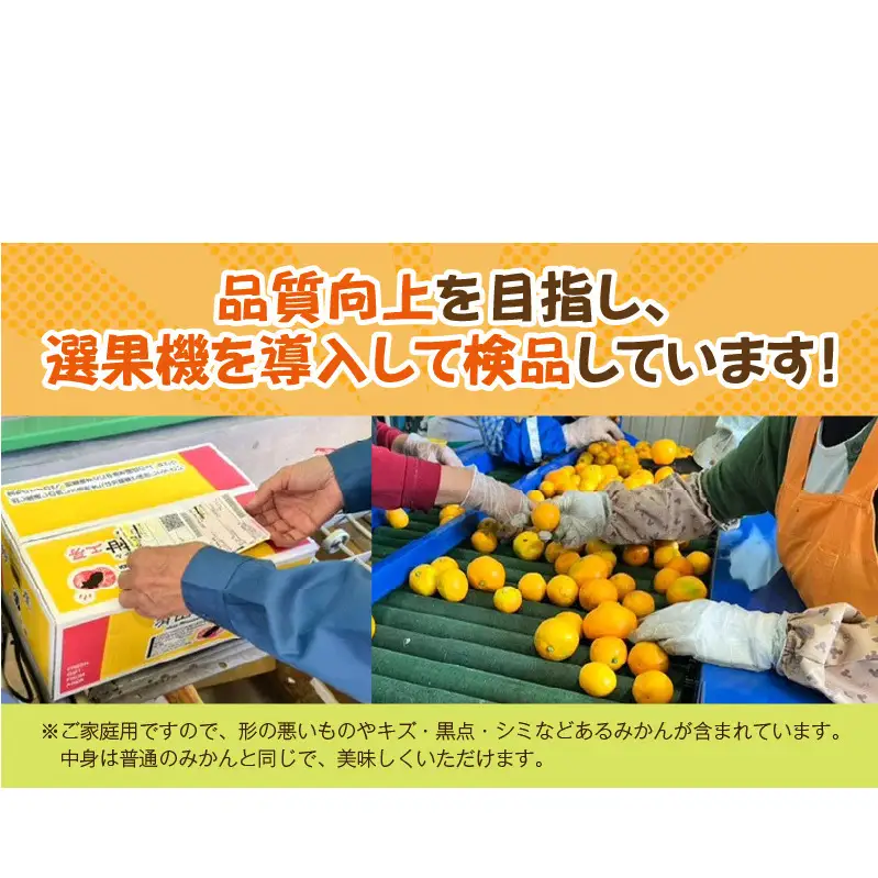 【2026年先行予約】【直営限定】ご家庭用　和歌山有田みかん約5kg(SS、Sサイズ)【湯浅町】_ZJ6097