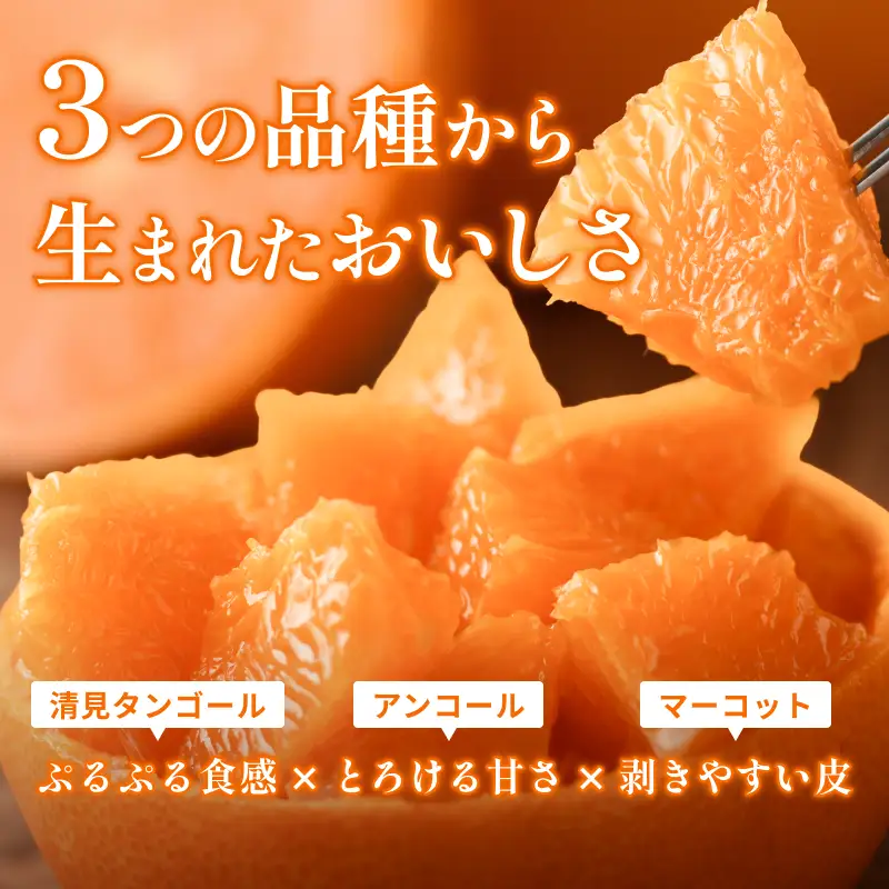【先行予約】せとか（贈答用） 化粧箱 3L～L 10～15玉