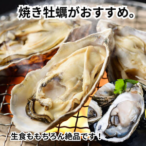 特上・篠島の殻付き真牡蠣1kgセット(生食用かき・CAS冷凍カキ)海鮮バーベキューBBQ、浜焼きに