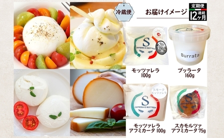 チーズ 定期便 12ヶ月 4種 詰め合わせ 茅ヶ崎 手作り チーズ