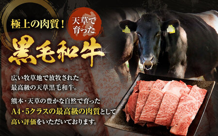 ＜ R8年熊本地震復興支援 ＞ くまもと黒毛和牛 焼肉用 ロース・カルビ 切り落とし 500g A4~A5クラス 牛肉
