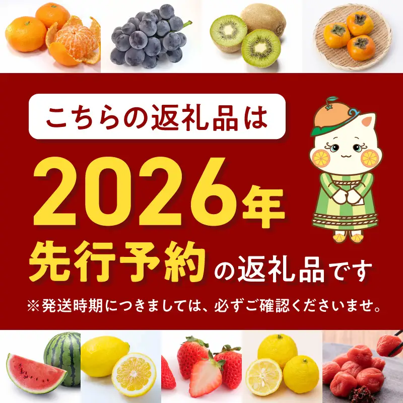 【2026年先行予約】ご家庭用　和歌山有田みかん 約10kg (2L、3Lサイズ)【湯浅町】_AT6314