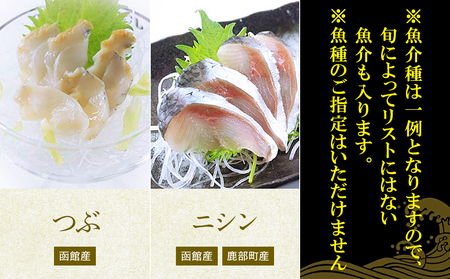 【順次発送】北海道産 旬のお刺身＜5種＞盛り合わせセット 約500g 約4～5人前 ほたて さくらます ほっけ いか たこ にしん つぶ貝 等