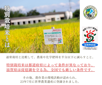 米 コシヒカリ 玄米 5kg 縁起の竜王米 （令和7年産）