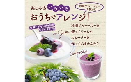 冷凍ブルーベリー 250g×4パック×2箱 合計2kg 北海道産 甘くてジューシー 余市産 冷凍 栄養価 冷凍フルーツ 果物__Y010-0345