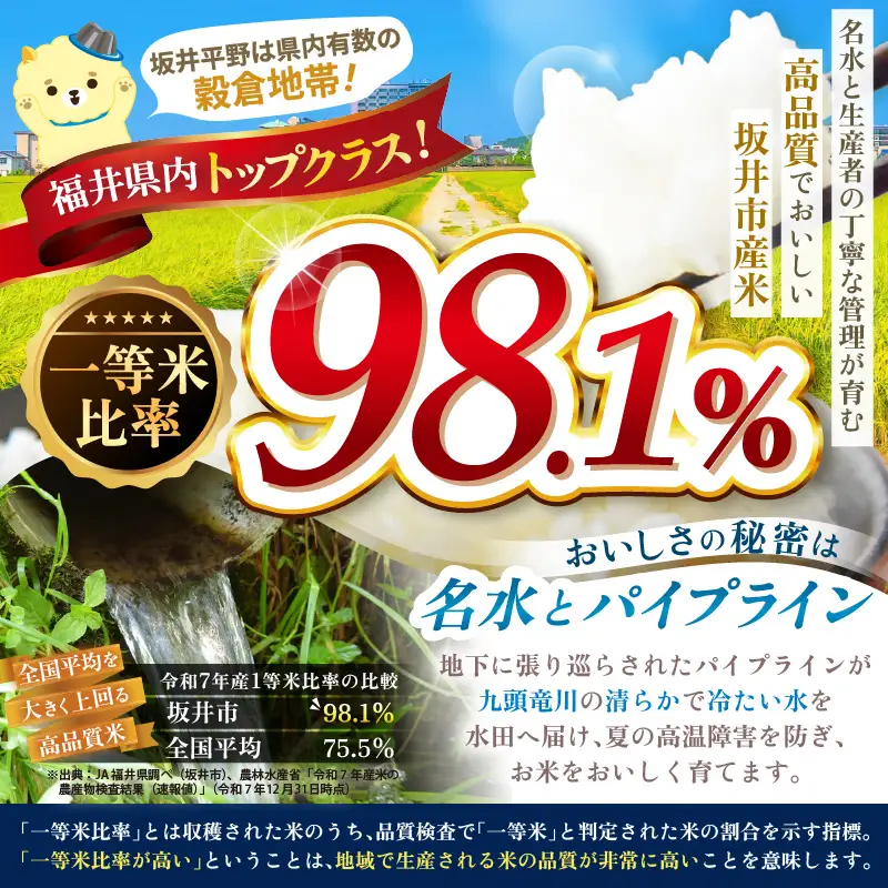 【令和7年産】 福井県のブランド米 いちほまれ 無洗米 2kg 人気 品種 ブランド米 特A  [A-6173]