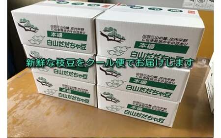 【令和9年産】 だだちゃ豆 「早生甘露」 2.5kg（500g×5袋） 山形セレクション認定 山形県鶴岡市 K-961 白山ちゃ茶農園 