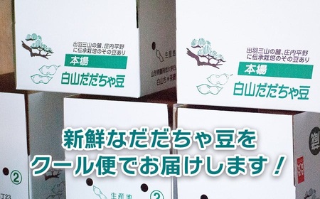 【令和8年産先行予約】山形セレクション認定　だだちゃ豆 「白山だだちゃ」 1.2kg（600g×2袋）　山形県鶴岡市　白山ちゃ茶農園　K-831　| だだちゃ豆 枝豆 えだまめ 豆 1.2キロ 夏の味覚 おつまみ 旬の野菜 期間限定 名産品 ビールのお供 手土産 山形県 庄内 東北 返礼品