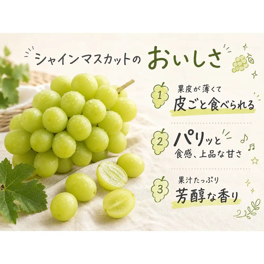紀州有田産シャインマスカット　約3kg【先行予約】【2026年8月下旬以降発送予定】