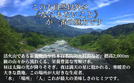 令和6年産 新潟県産コシヒカリ5kg 笑穂志(えぼし)のひかり 2024年産 糸魚川 新潟産こしひかり5kg コシヒカリ こしひかり 精米 白米 おすすめ Ｕ’ファーム