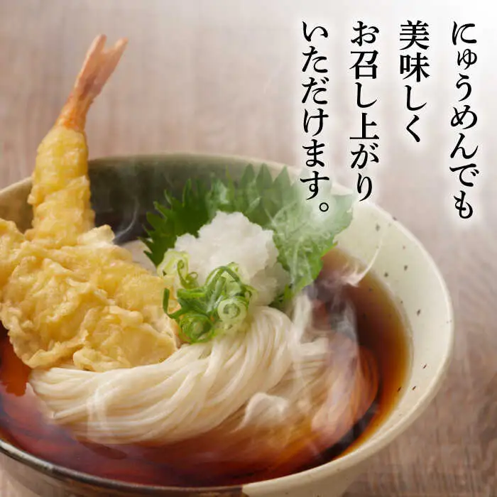【3回定期便】五彩麺 セット 19束 / そうめん 素麺 黒ごま 梅 うに よもぎ / 麺 乾麺 食べ比べ 詰め合わせ カラフル / 南島原市 / のうち製麺 [SAF030]