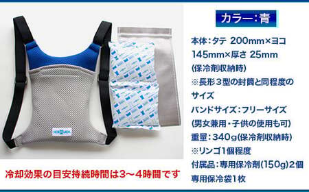 アイスリュック Style 青 保冷剤付き 保冷 アイスリュック