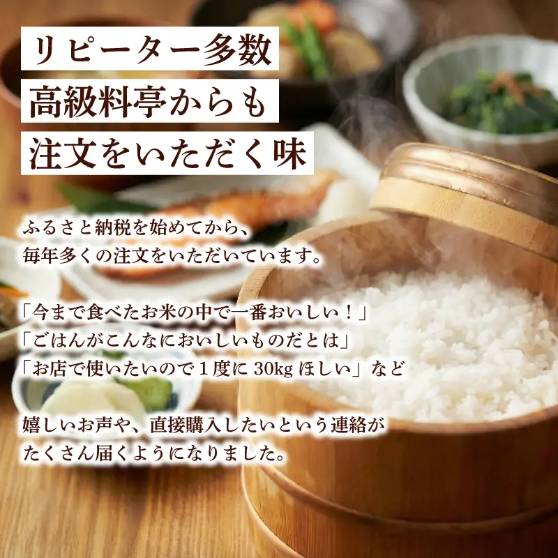 令和8年産 よさ恋美人 10kg 白米