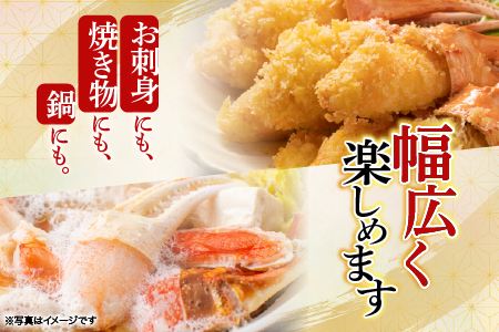 根室海鮮市場＜直送＞生食用本ズワイガニ爪ポーション500g(お刺身・かにしゃぶ・フライ等) A-28224