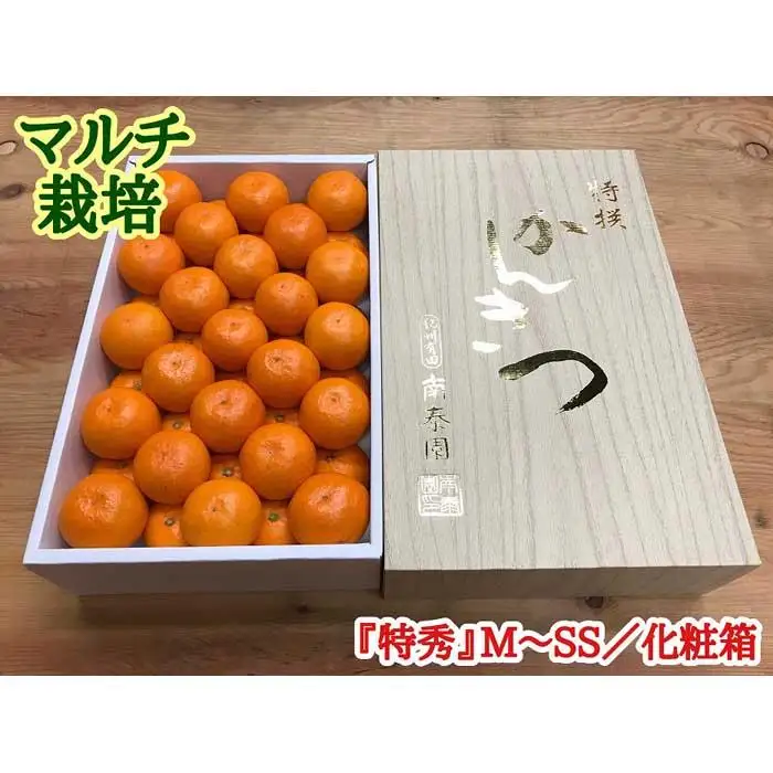 定期便 有田みかん 食べくらべ 3種 化粧箱 各約 3kg 南泰園 全3回 2026年 10月 発送開始 みかん