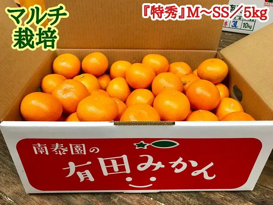定期便 有田みかん 食べくらべ 3種 特秀 各 5kg コース 全3回 南泰園 みかん