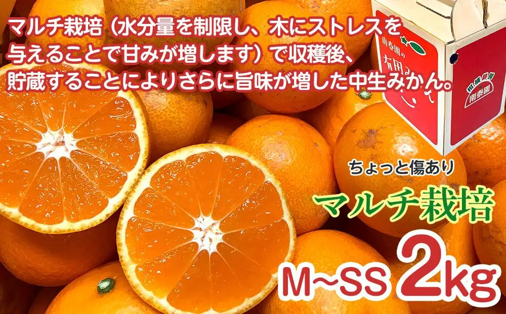 定期便 ちょっと 傷あり 2kg × 3回 コース 有田みかん 食べくらべ 3種 全3回 南泰園 みかん