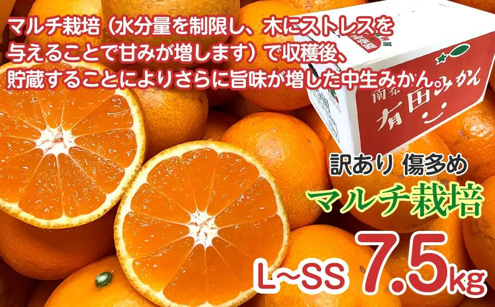定期便 訳あり 傷多め 7.5kg × 3回 コース 有田みかん 食べくらべ 3種 全3回 南泰園 みかん