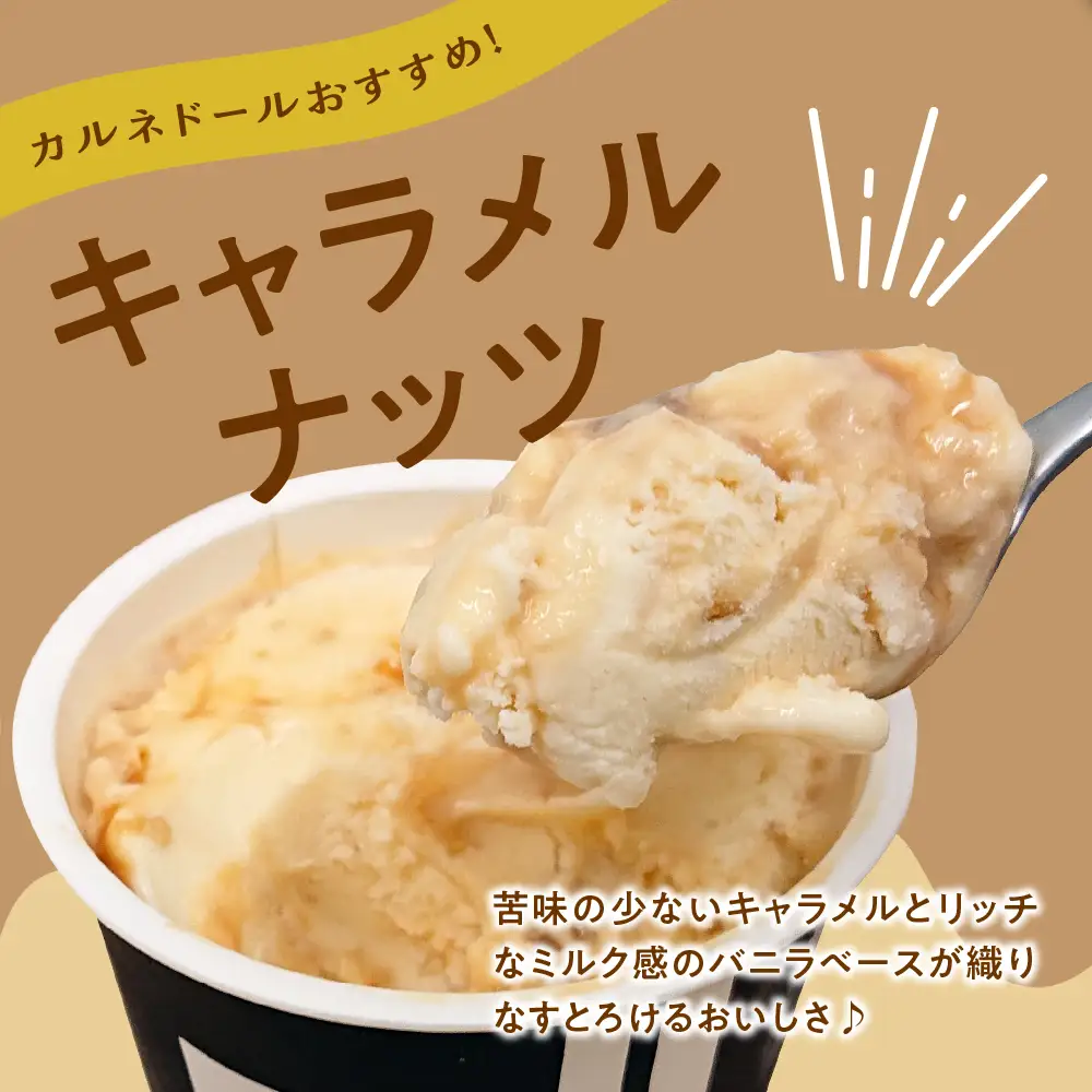アイス 洋菓子店のこだわりアイス8個セット （全６種）【 お菓子 スイーツ アイス ラクトアイス アイスクリーム 詰め合わせ アイスクリームセット】バニラ/抹茶/キャラメル/ミルクティー/いちご/小倉
