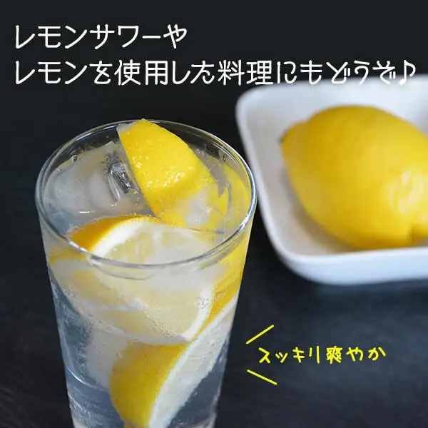 訳あり レモン B品  箱込5kg(内容量約4.4kg) 和歌山県有田産（サイズミックス）【みかんの会】