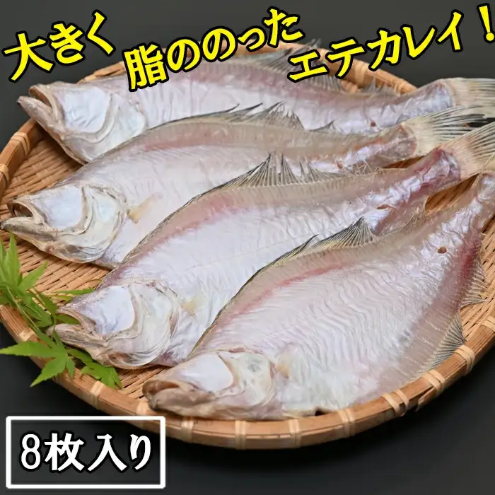 境港産一夜干しかれい（8枚）【一夜干し いちやぼし かれい カレイ エテカレイ 干物 干もの ひもの 乾物 境港 ご当地 ギフト プレゼント ご自宅用 鳥取 日吉津村】