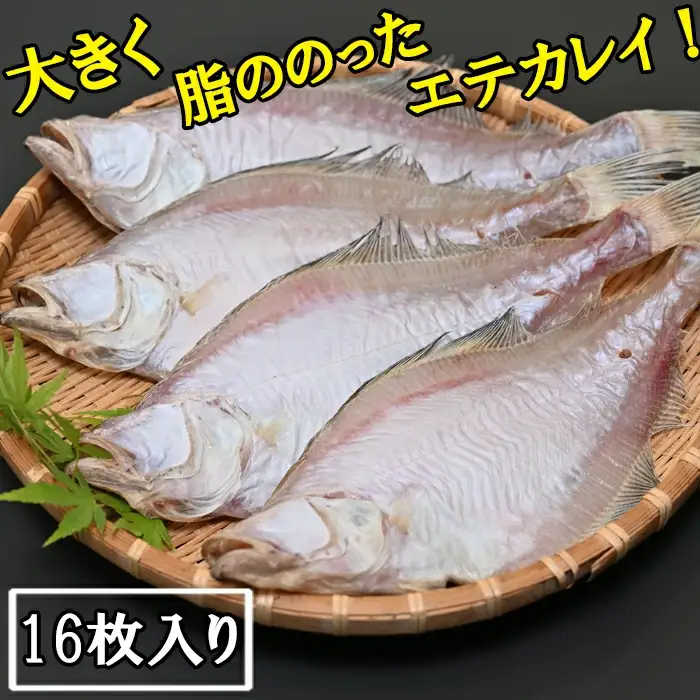 境港産一夜干しかれい（16枚）【一夜干し いちやぼし かれい カレイ エテカレイ 干物 干もの ひもの 乾物 境港 ご当地 ギフト プレゼント ご自宅用 鳥取 日吉津村】