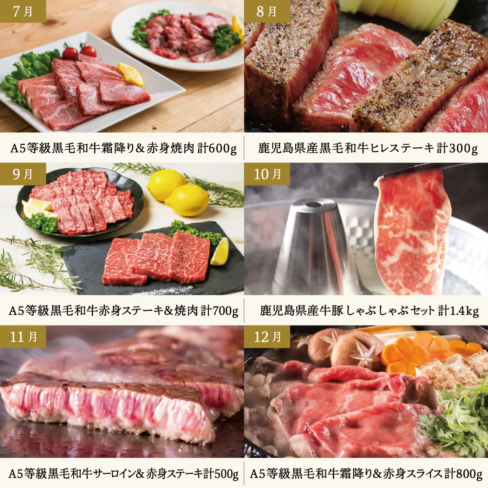 【定期便 全12回】情熱牧場 鹿児島県産お肉の定期便 プレミアムコース お肉 ステーキ すき焼き しゃぶしゃぶ A5等級 ブランド 黒毛和牛 牛肉 豚肉 焼肉 定期便 冷凍