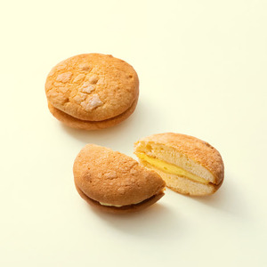 菓子 故郷の思い出 銘菓詰合せ1 菓子庵 石川 長野県 伊那市 【022-27】