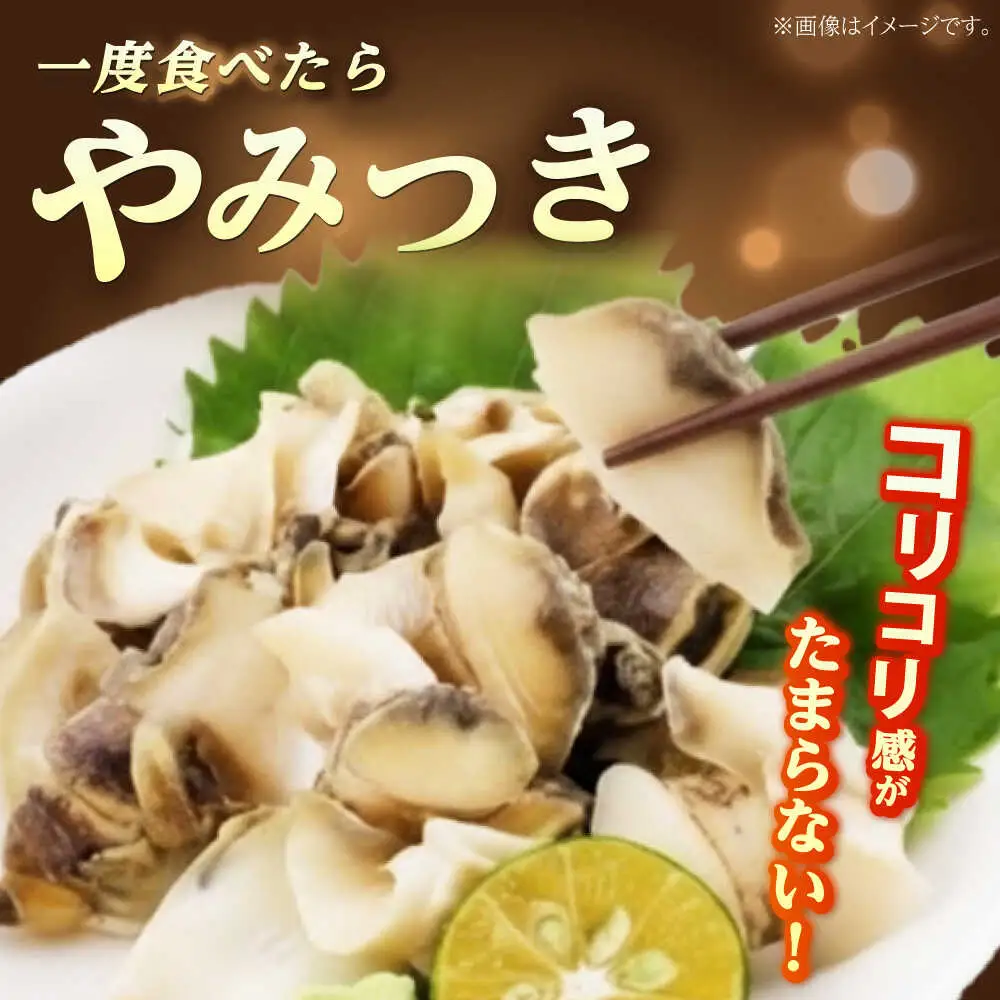 先行予約 2026年6月発送 サザエ 天然 活サザエ 2kg 15～30個 朝獲れ BBQ小浜市 / 桝屋商店【配送不可地域：北海道・沖縄・離島】 [BFAO015] 