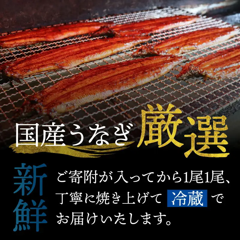 冷蔵 国産 うなぎ 蒲焼 1尾 約200g タレ付 / 鰻 うなぎ ウナギ /  小浜市 / 真魚源【配送不可地域：北海道・沖縄・離島】 [BFCJ001] 
