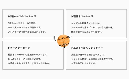 BUTCHER　ソーセージ詰め合わせ|ソーセージ 肉 手作り 豚肉 優しい 味 長野県産 伊那 ふるさと納税【012-37】