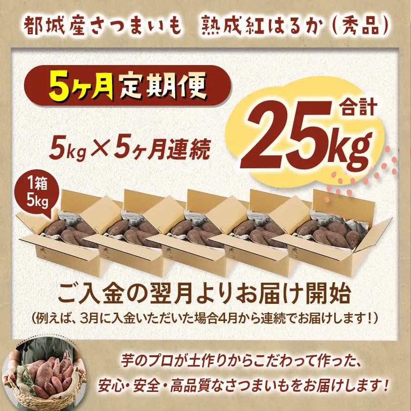 【5回お届け!】都城産 長期熟成紅はるか 5kg 定期便〔TAA5-I201〕_(都城市) 都城産 さつまいも 熟成紅はるか 秀品 5kg サイズ未選別 S～L