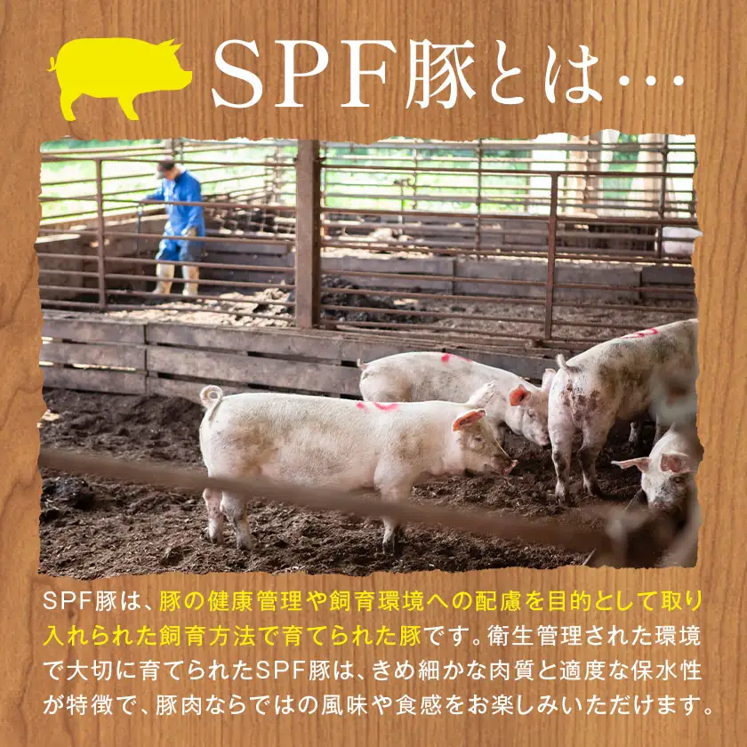 東庄町産SPF豚 焼肉&しゃぶしゃぶセット 計2kg 3ヶ月 定期便 田谷ミートセンター 焼肉 しゃぶしゃぶ