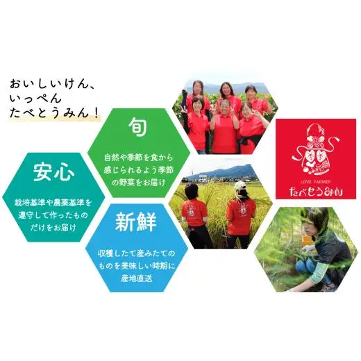 【定期便/3ヶ月お届け】たべとうみんの旬菜ボックス