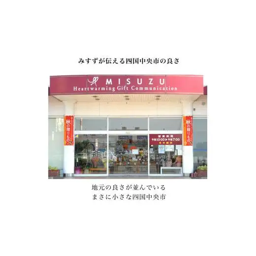 ホッとひと息しこちゅ～おやつアソートセットA