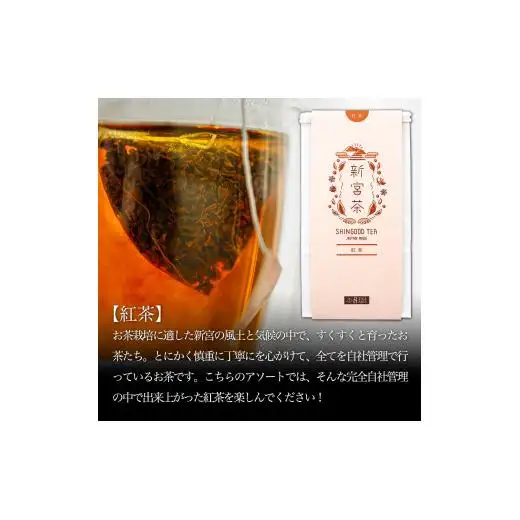 ホッとひと息しこちゅ～おやつアソートセットB